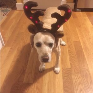 Meet your Posher, Cliff